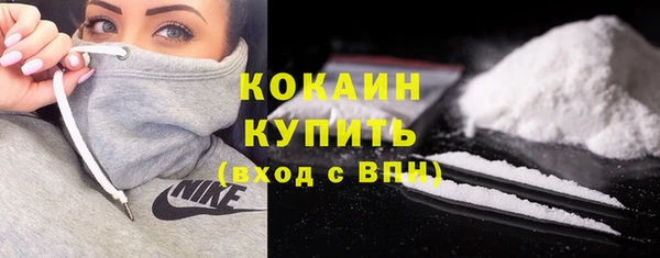 ешки Снежногорск