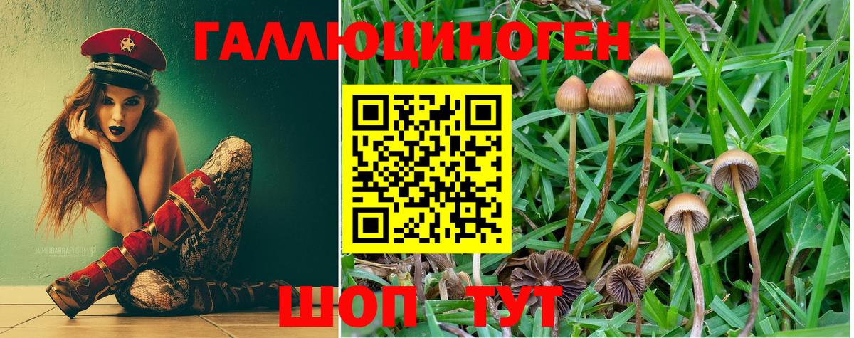 Воскресенск  Галлюциногенные грибы MAGIC MUSHROOMS  Вход с VPN 
