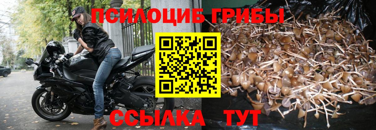Псилоцибиновые грибы MAGIC MUSHROOMS Воскресенск